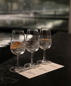 Hotel OttiliaSignature Gin Bar